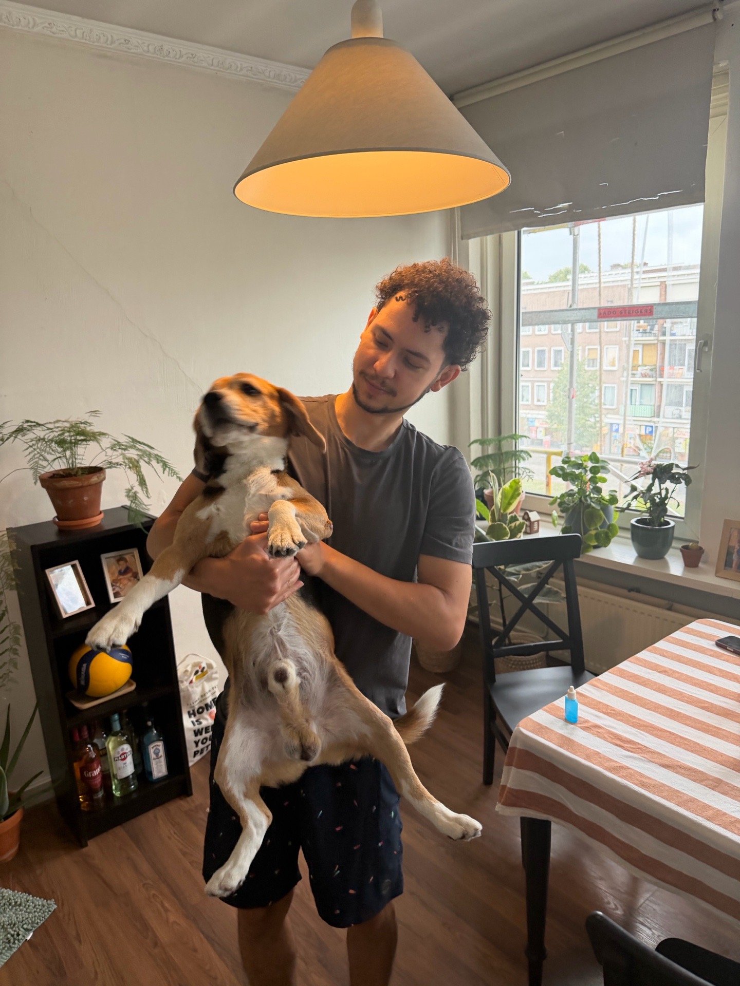 Mickael, dierenoppas in Amsterdam, foto 5