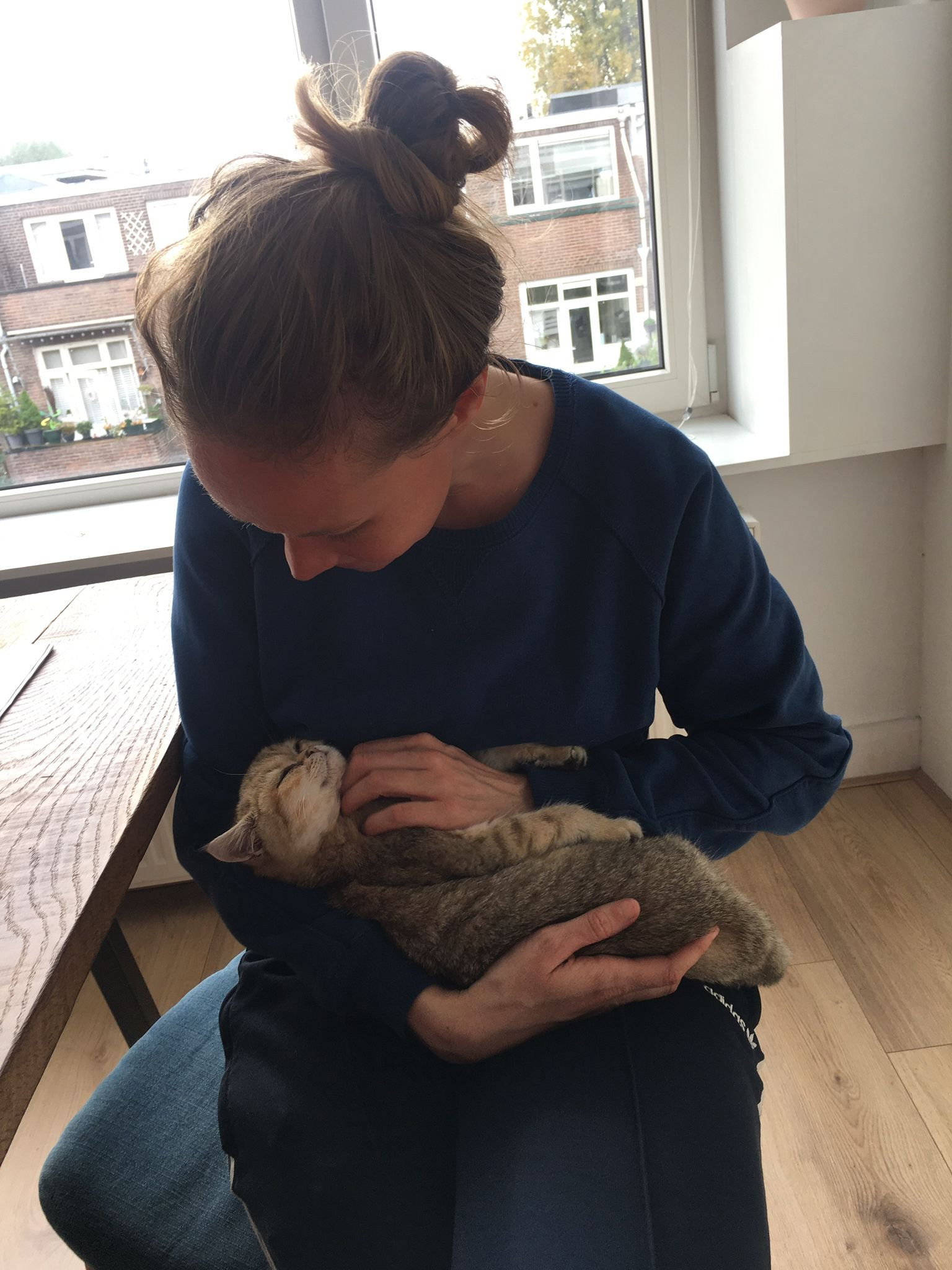 Tamara, pet sitter in Rotterdam, photo 3