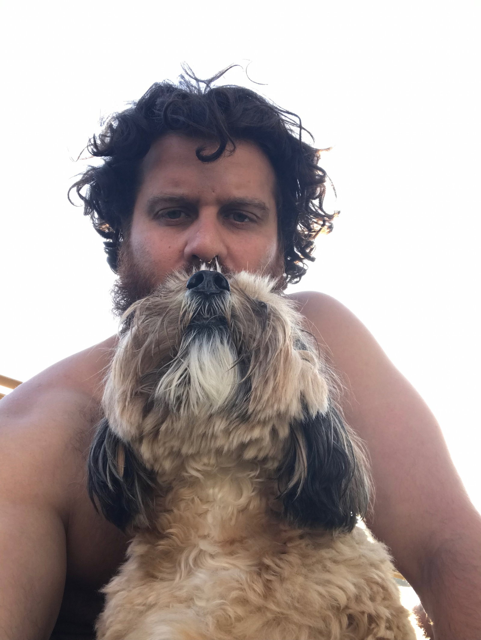 Dincer, pet sitter in Veenendaal, photo 2