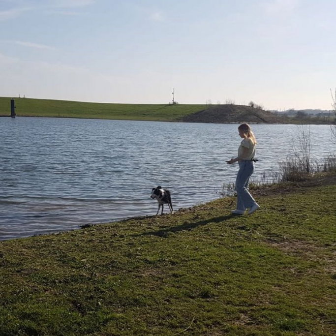 Chanty, pet sitter in Zwolle, photo 1