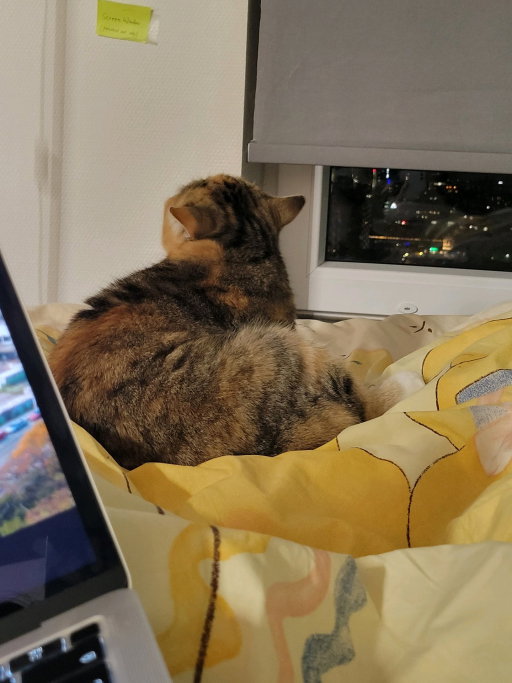 Astrid, pet sitter in Schiedam, photo 2