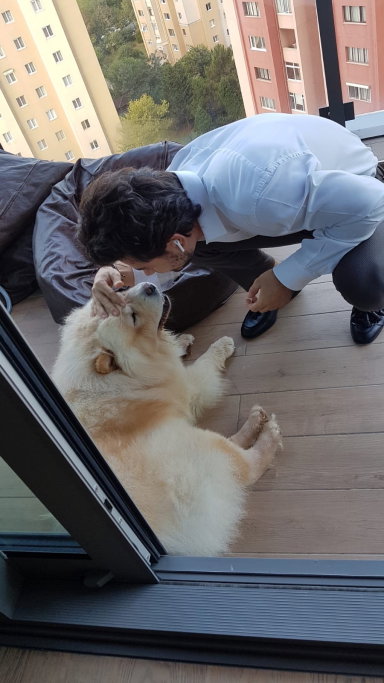 Cem, pet sitter in 's-Gravenhage, photo 2