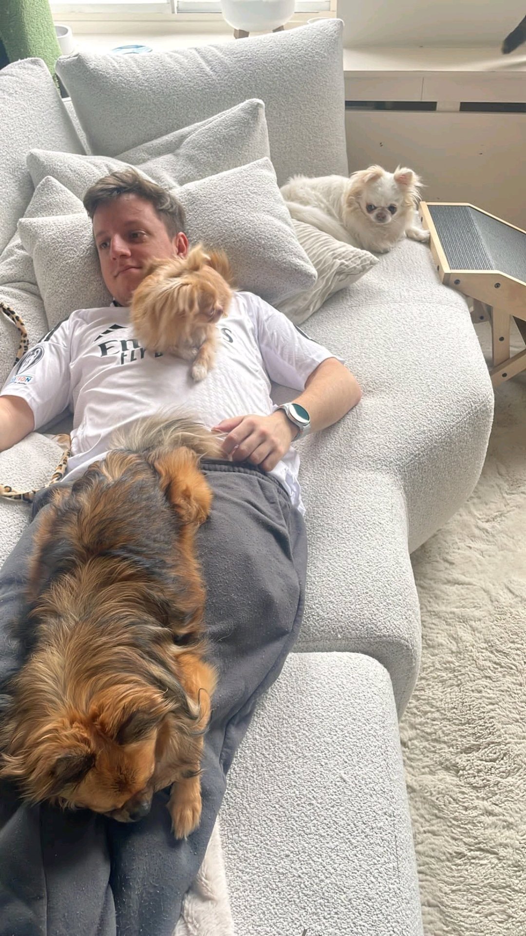 Marcelo, pet sitter in Leiden, photo 4