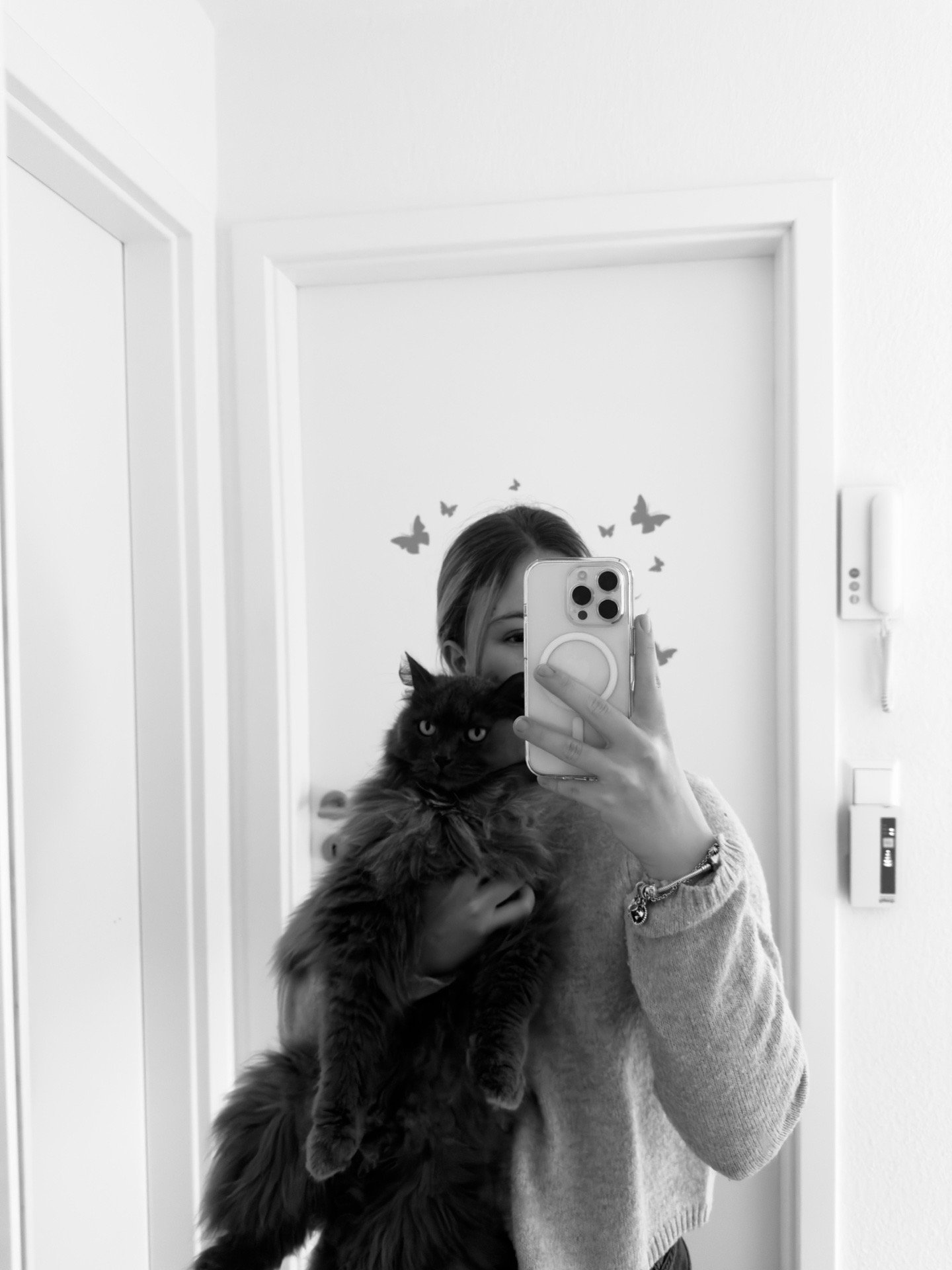 Lara, dierenoppas in Groningen, foto 4
