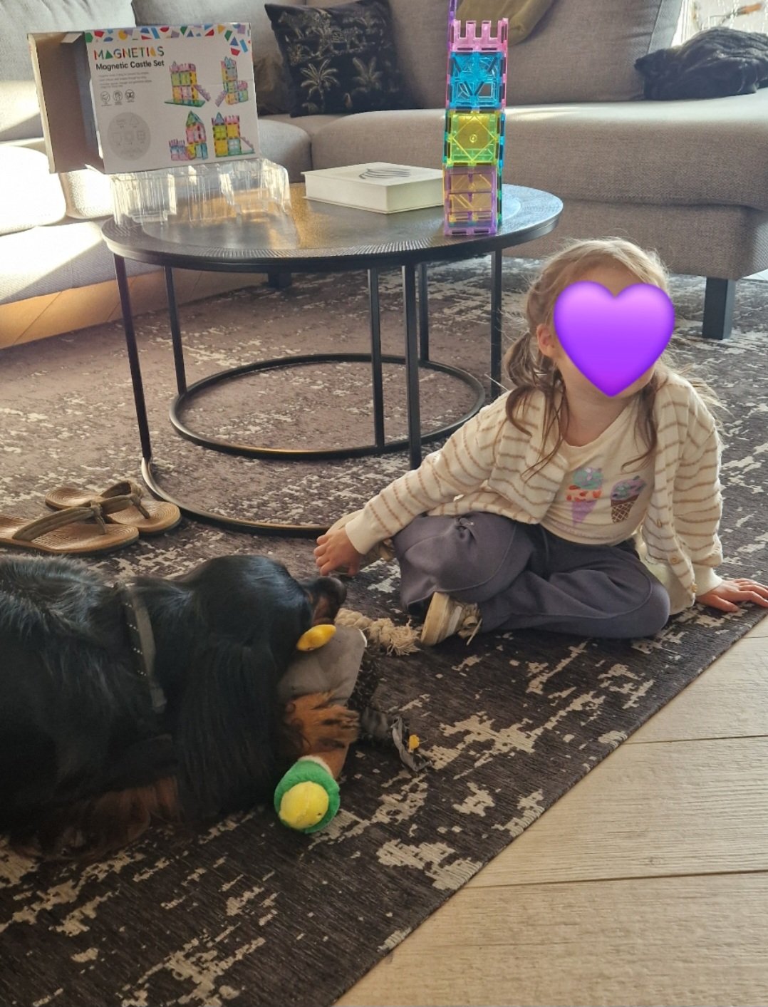 Amber, pet sitter in Geldrop, photo 1