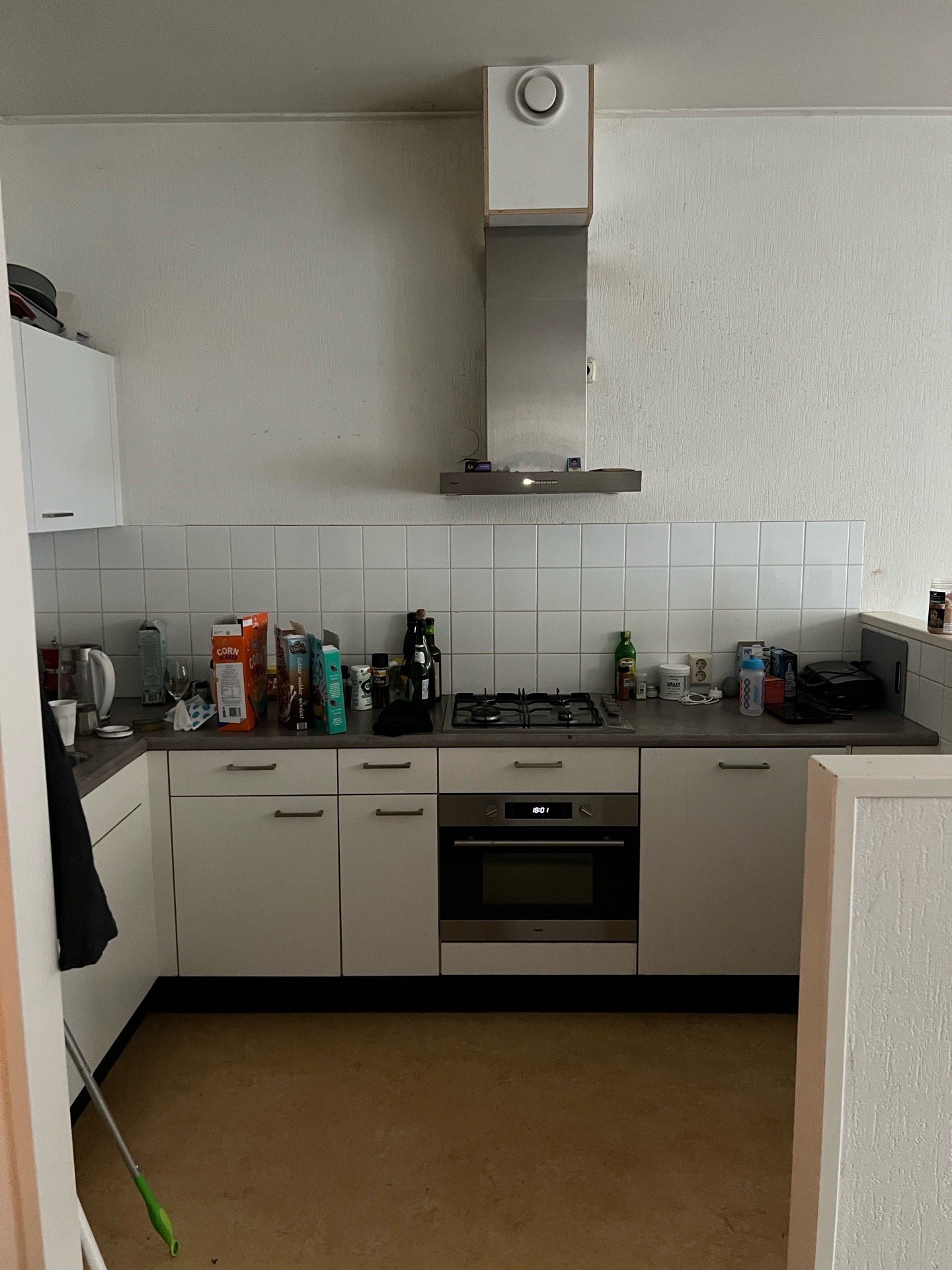 Antonio, dierenoppas in Den Haag, foto 2