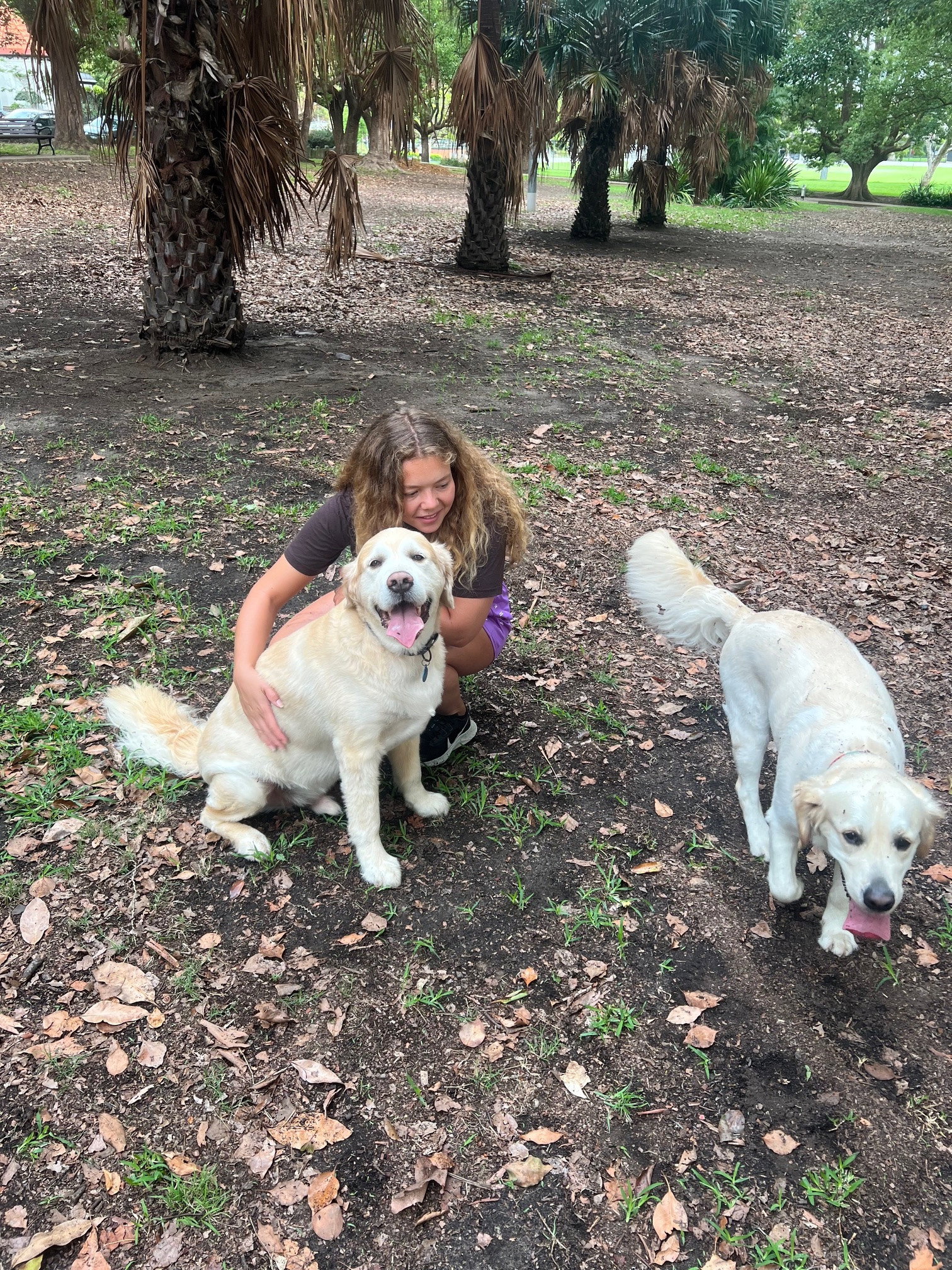 Manou, pet sitter in Utrecht, photo 1