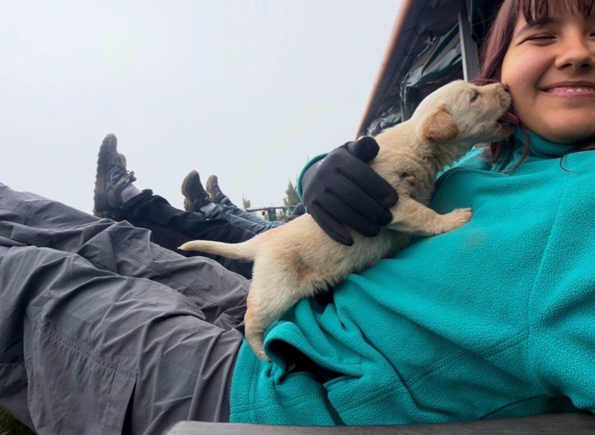 Ayse Ece, pet sitter in Rotterdam, photo 5