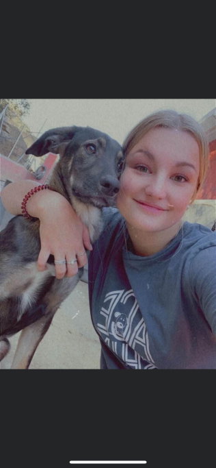 Maud, pet sitter in Keijenborg, photo 3