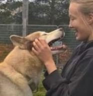 Marieke, pet sitter in Zandvoort, photo 3