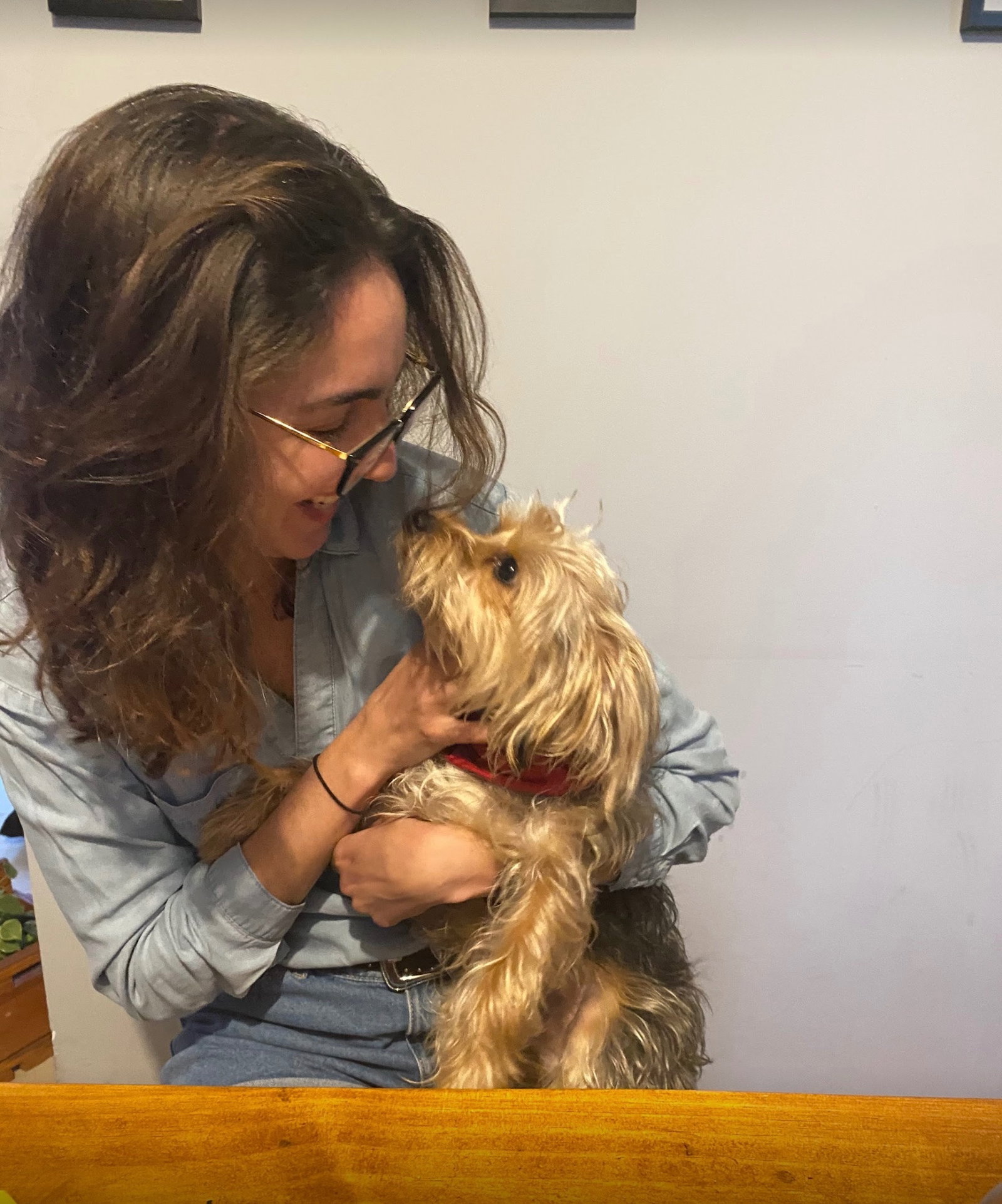 Amanda Corse, pet sitter in Amsterdam, photo 1