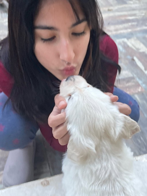 sifa, pet sitter in Karlsruhe, photo 3