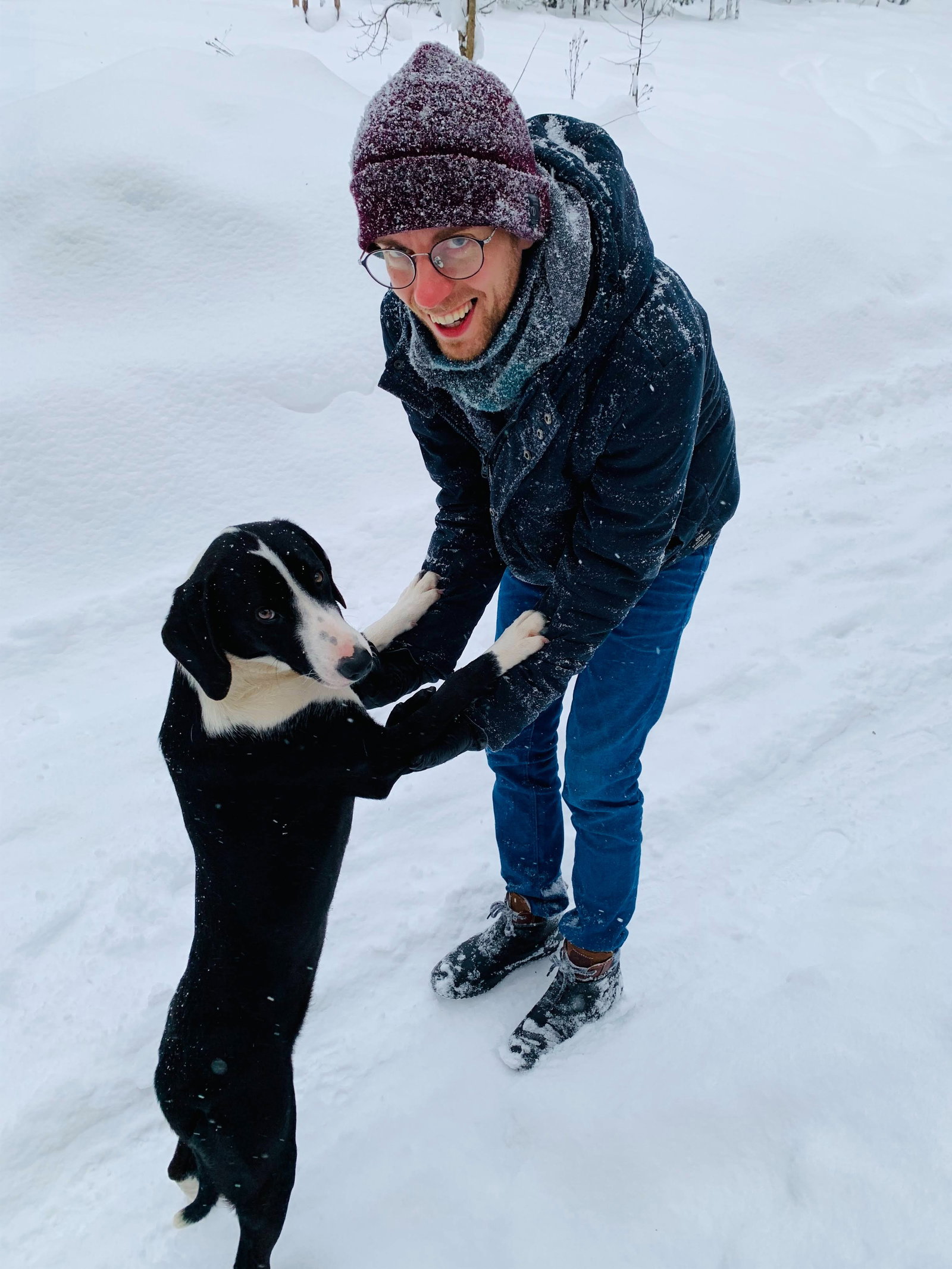 Mihajlo, pet sitter in Utrecht, photo 4