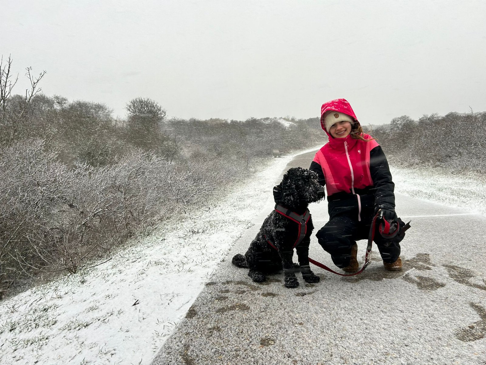 Violeta, pet sitter in Leiderdorp, photo 5