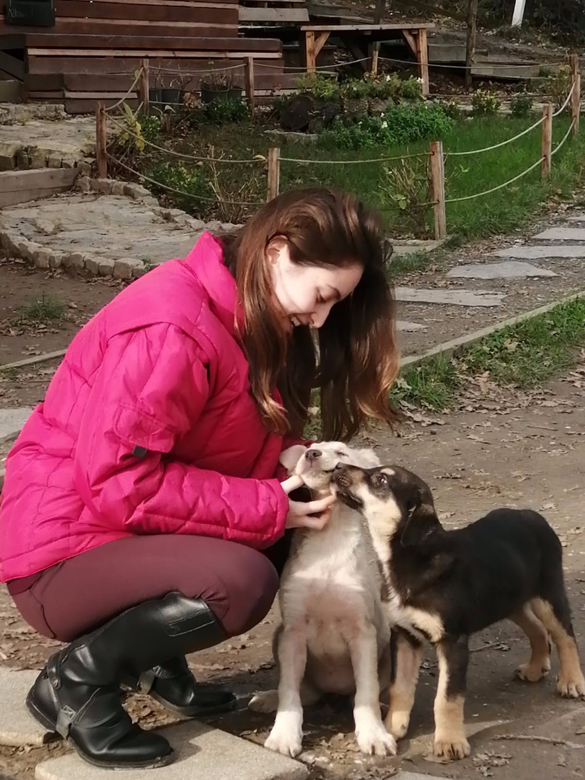 Lale, pet sitter in Leiden, photo 2