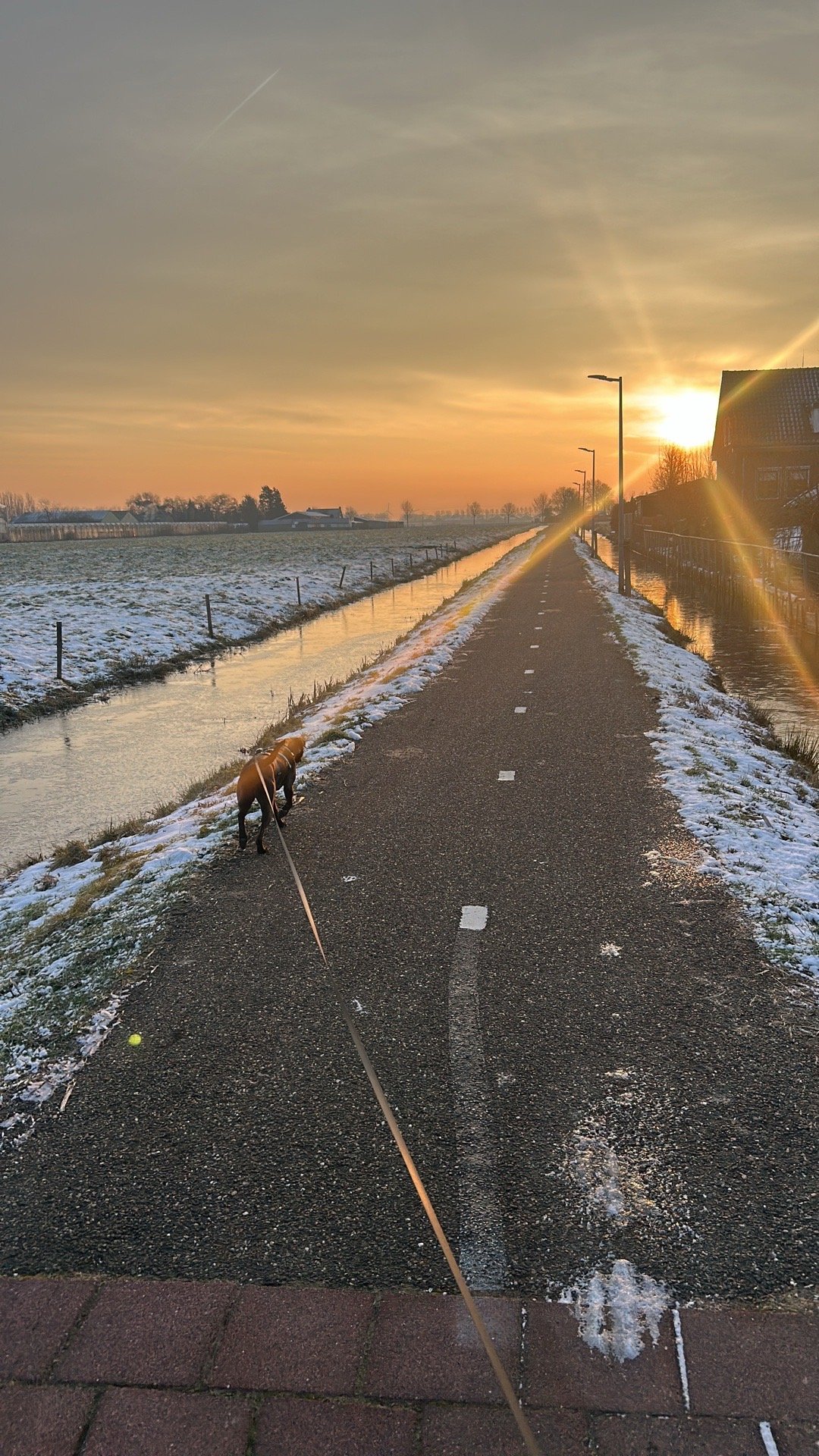 Esther, pet sitter in lisse, photo 2