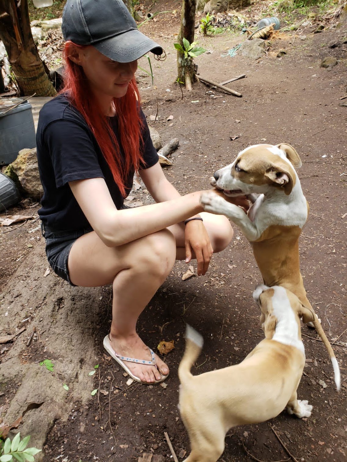anna, pet sitter in Amsterdam, photo 5