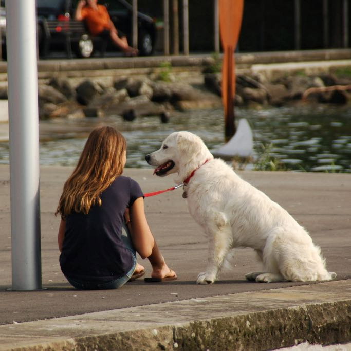 Renee, pet sitter in Utrecht, photo 3