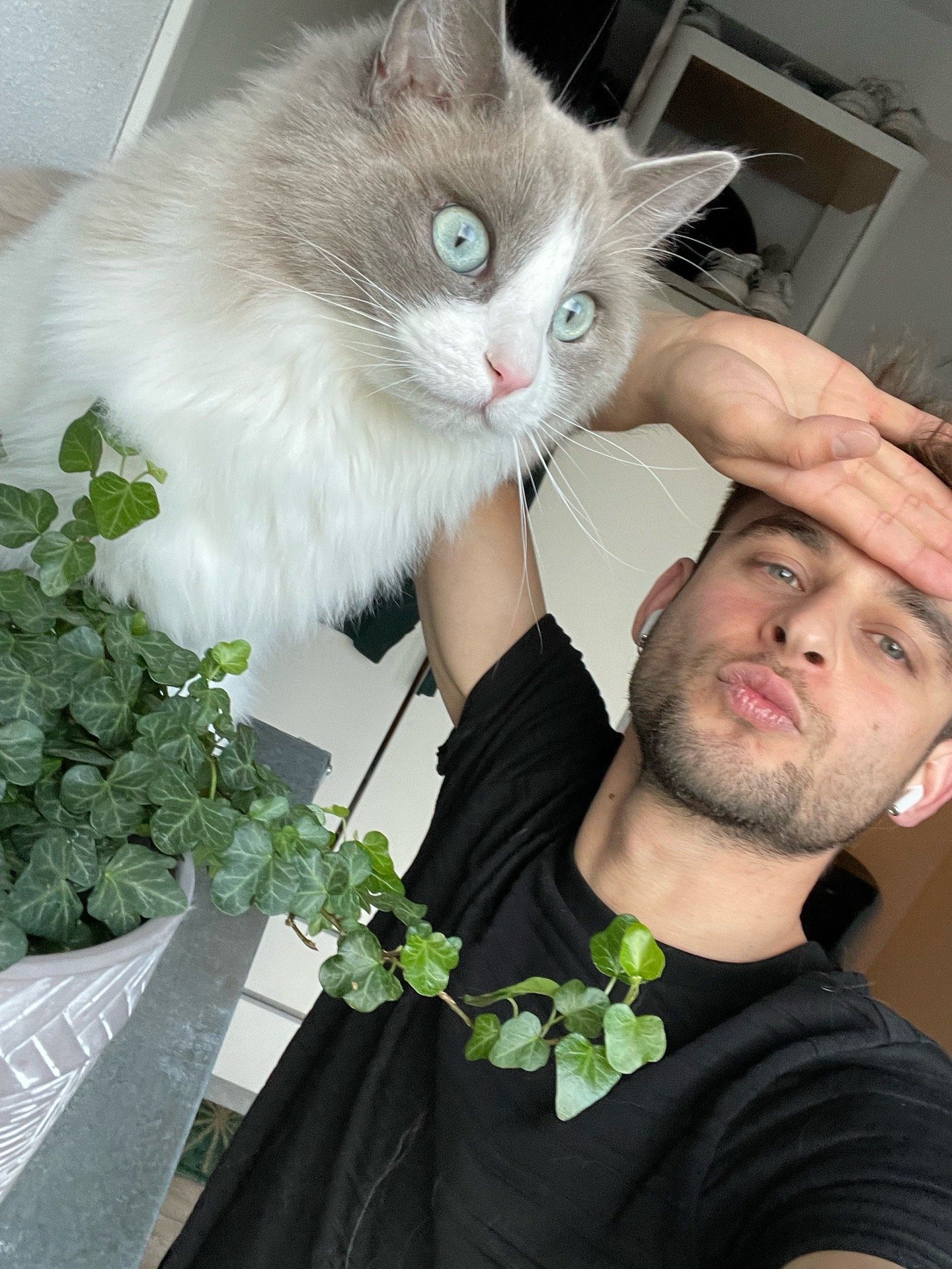 Mike, pet sitter in Tilburg, photo 5