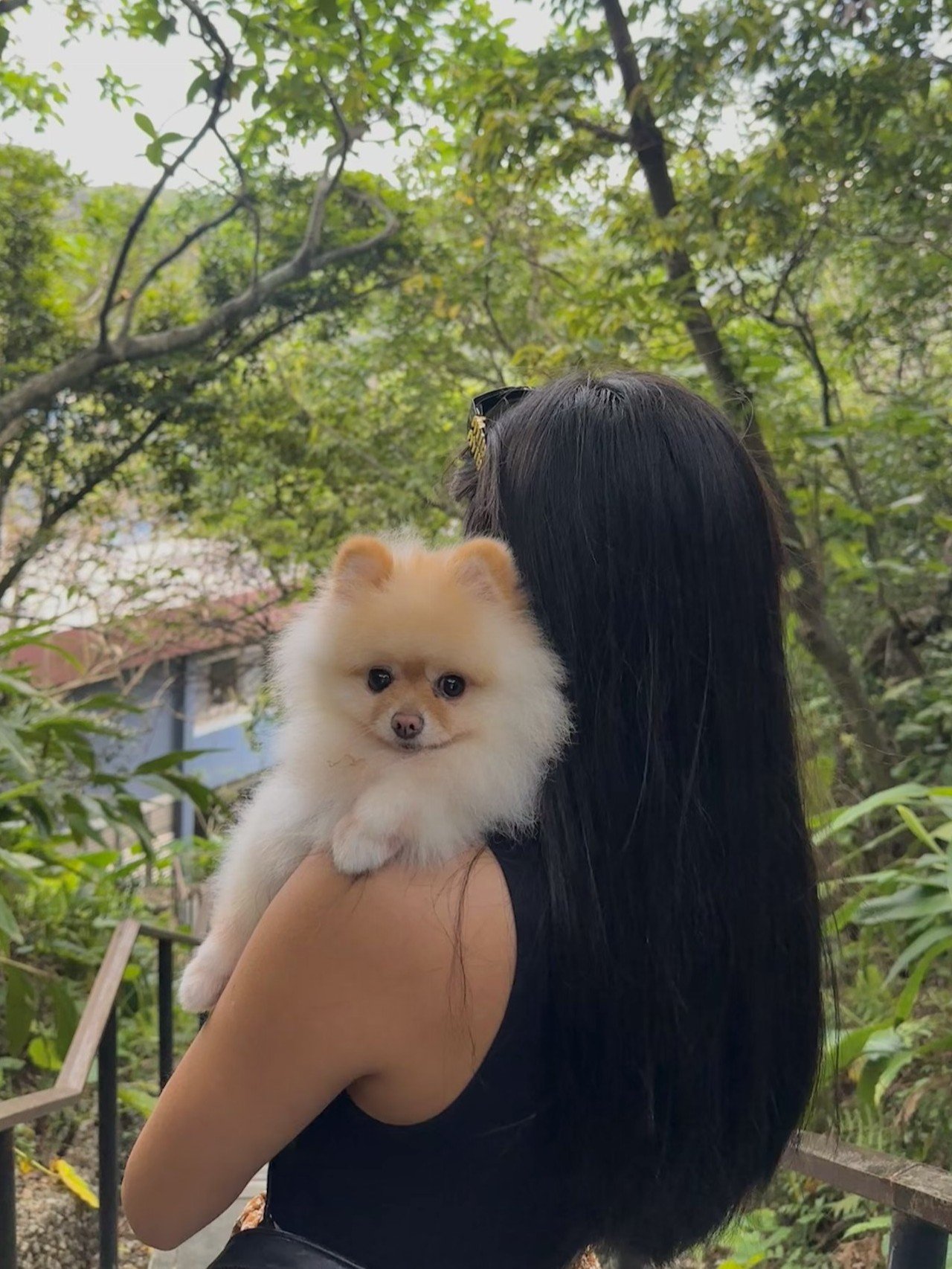 Yawen, pet sitter in Amsterdam, photo 2
