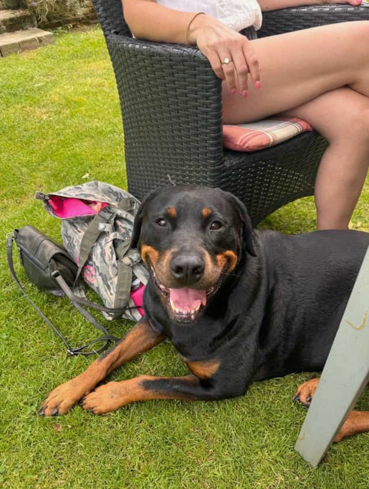 maike, pet sitter in Amsterdam, photo 4