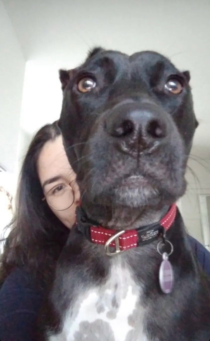 Naomi, pet sitter in Amsterdam, photo 5
