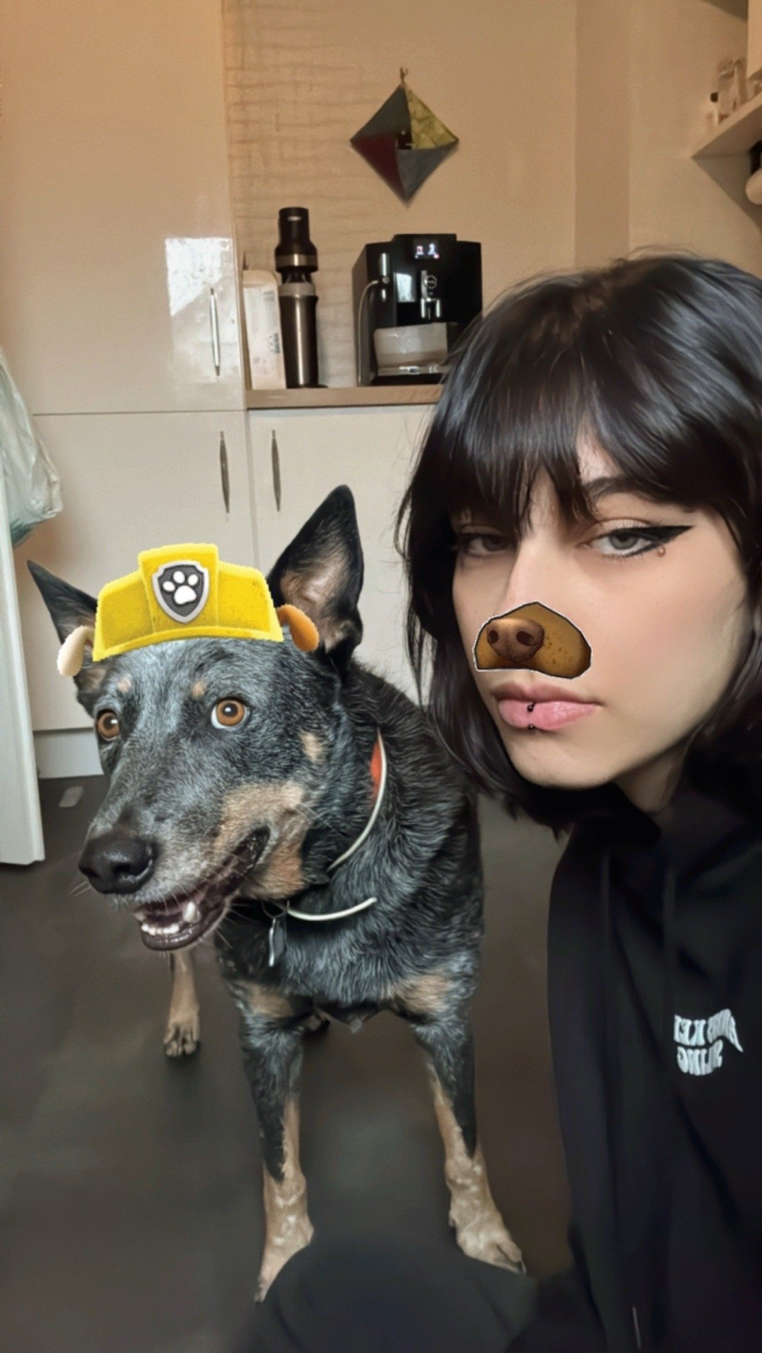 Priscila, Tiersitter in Frankfurt am Main, Foto 3