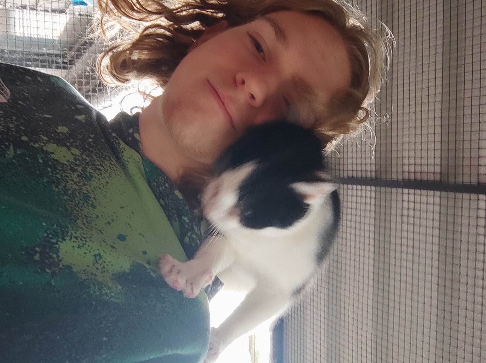 Tigo, pet sitter in Weert, photo 1