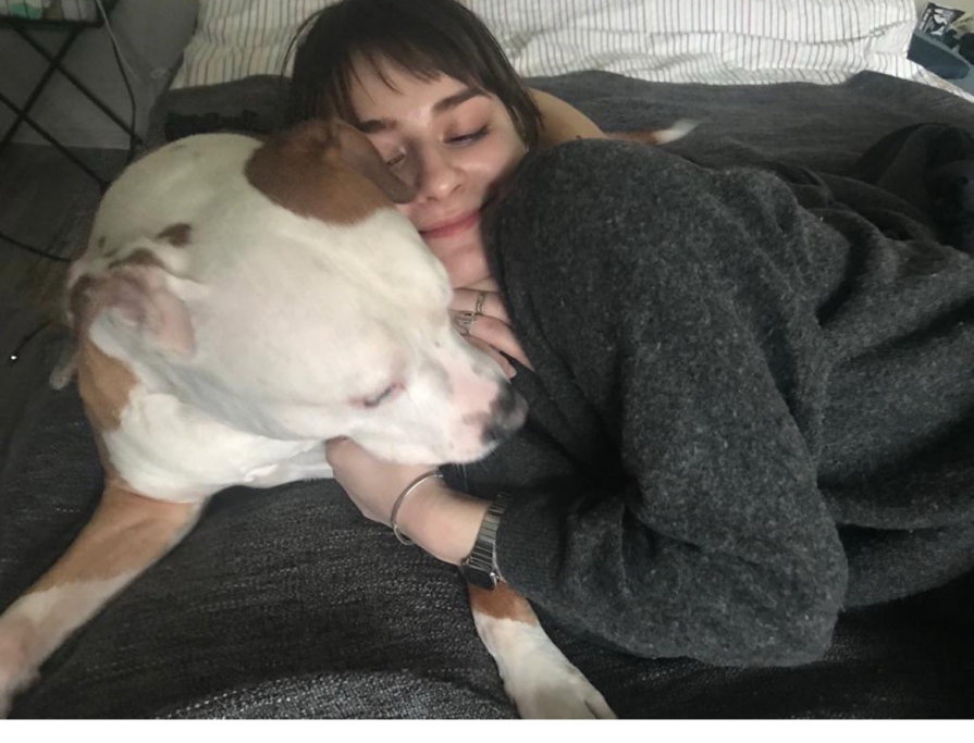Daria, pet sitter in Amsterdam, photo 3
