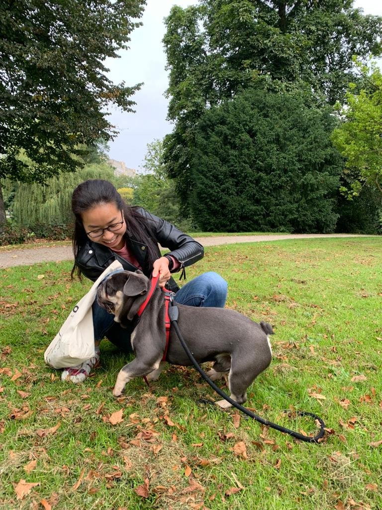Huong, pet sitter in Rotterdam, photo 1