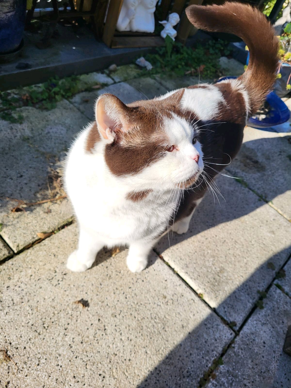 Annika, Tiersitter in Leverkusen, Foto 4