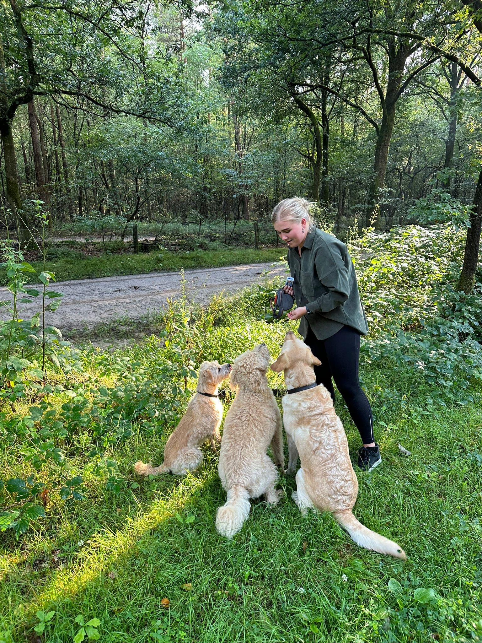 Romy, pet sitter in Arnhem, photo 1