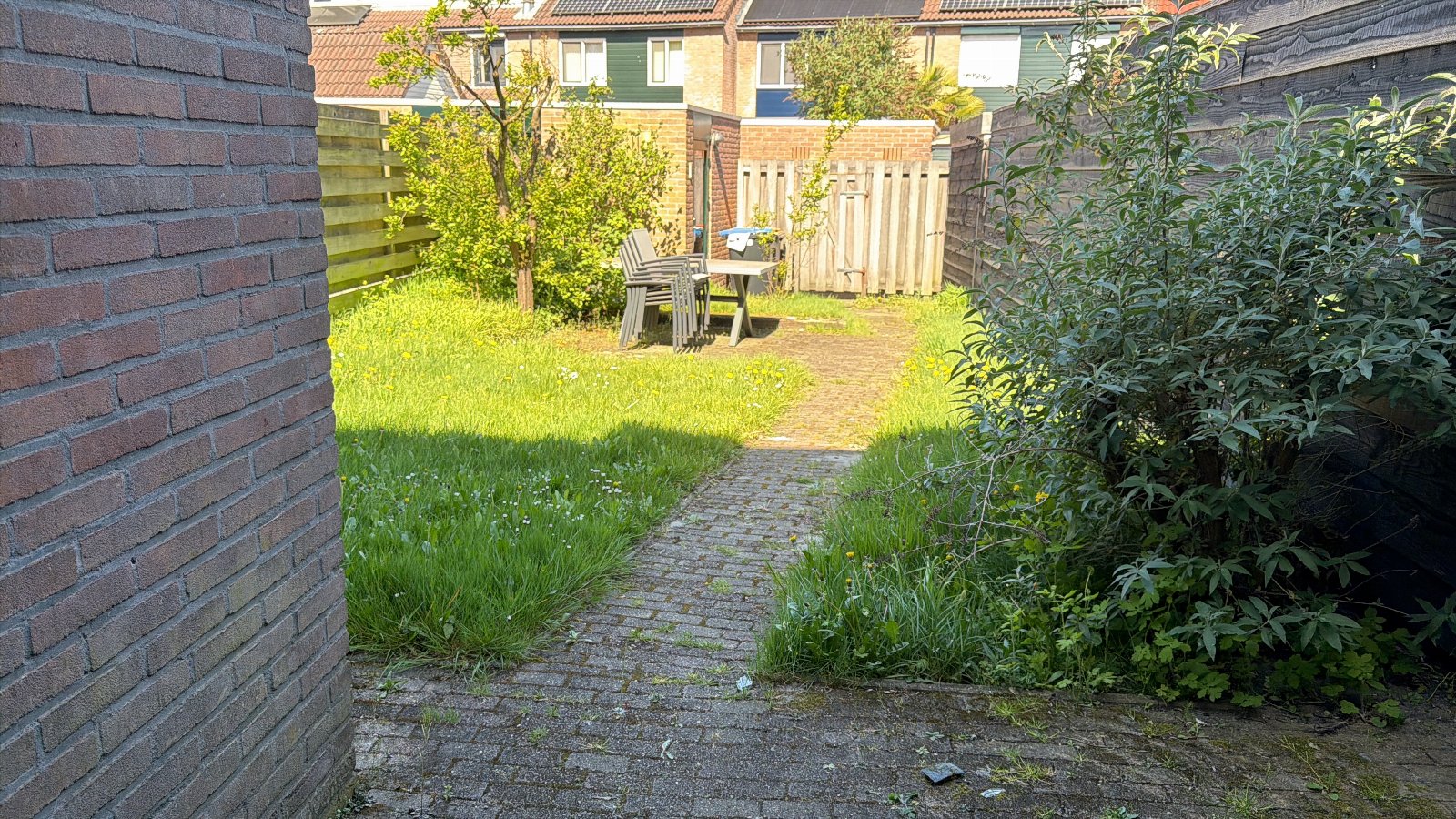 Sofie, pet sitter in Apeldoorn, photo 3