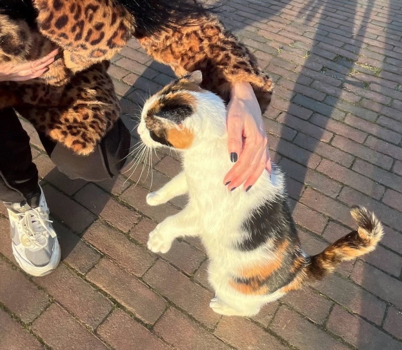 Michelle, pet sitter in Wijchen, photo 2