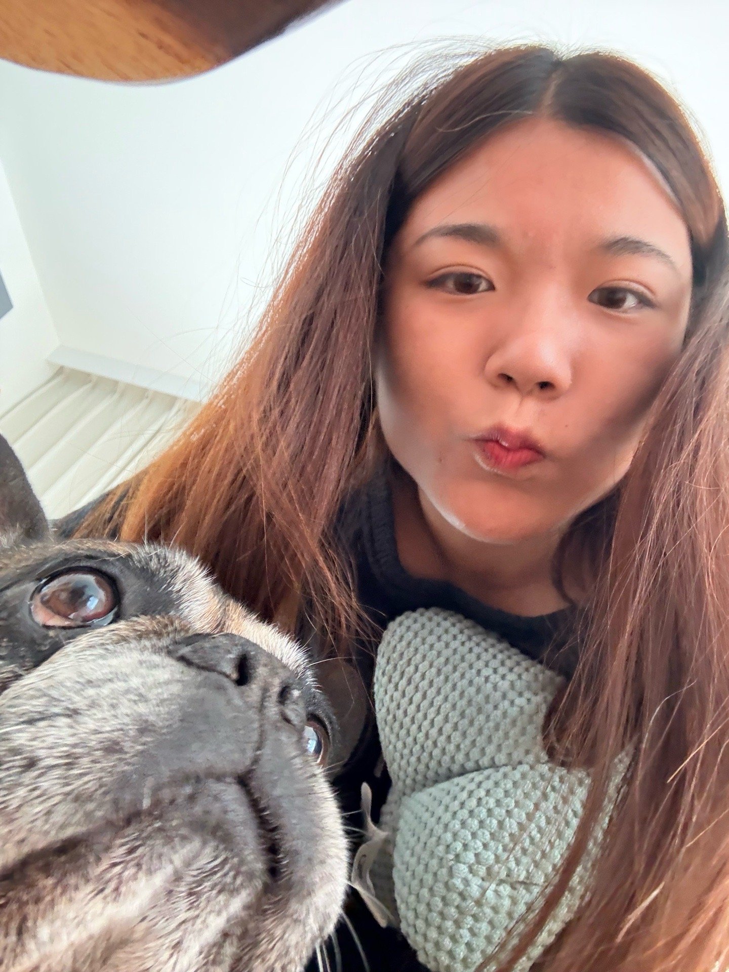 V i v i, pet sitter in Voorburg, photo 1