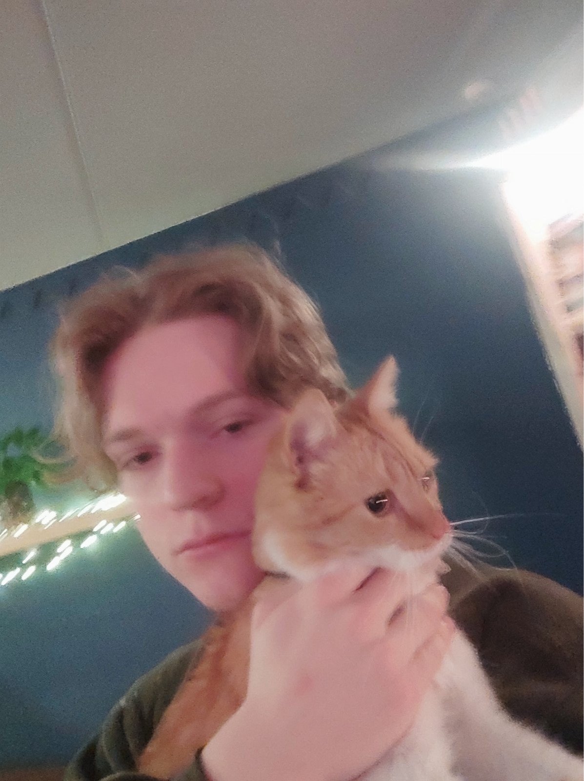Tigo, pet sitter in Weert, photo 2