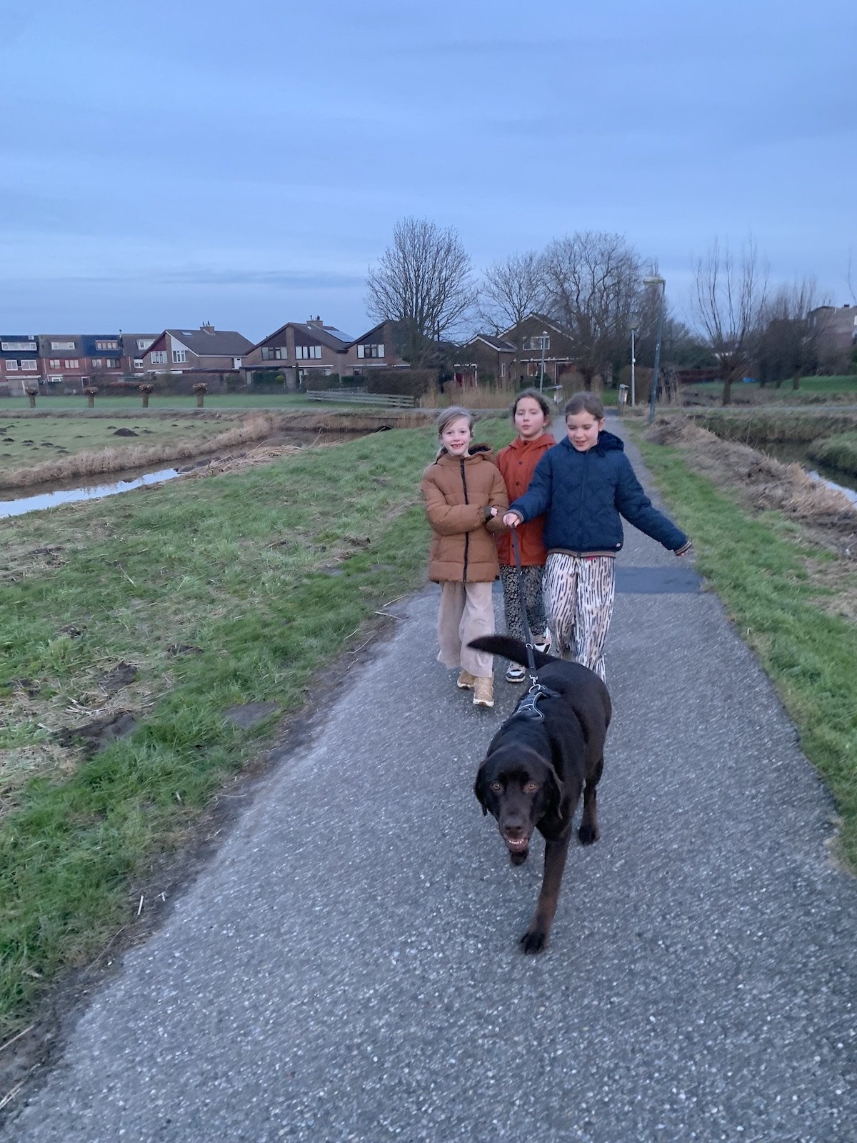 Jill, dierenoppas in Weesp, foto 2