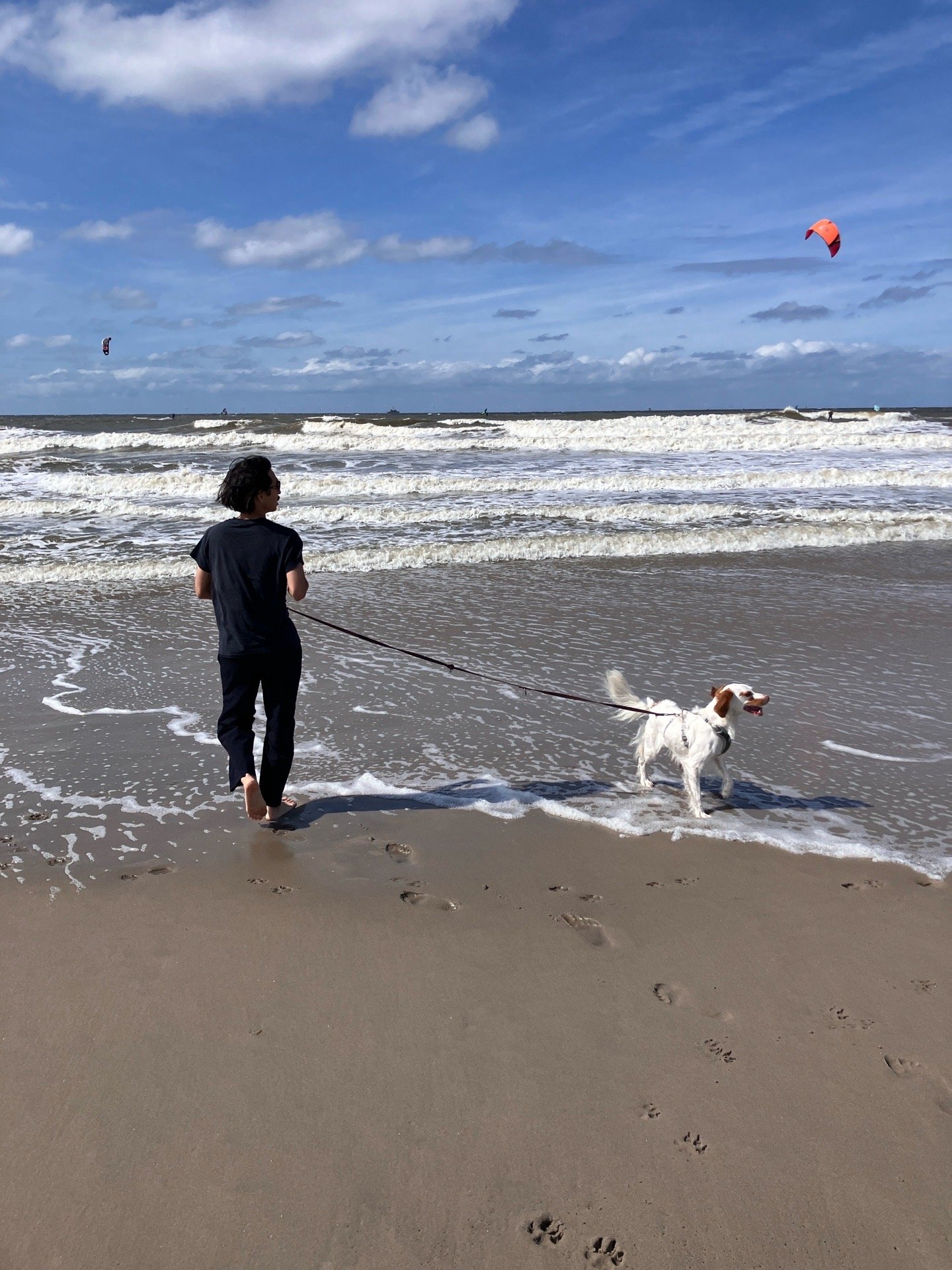 Seiko, pet sitter in Den Haag, photo 4