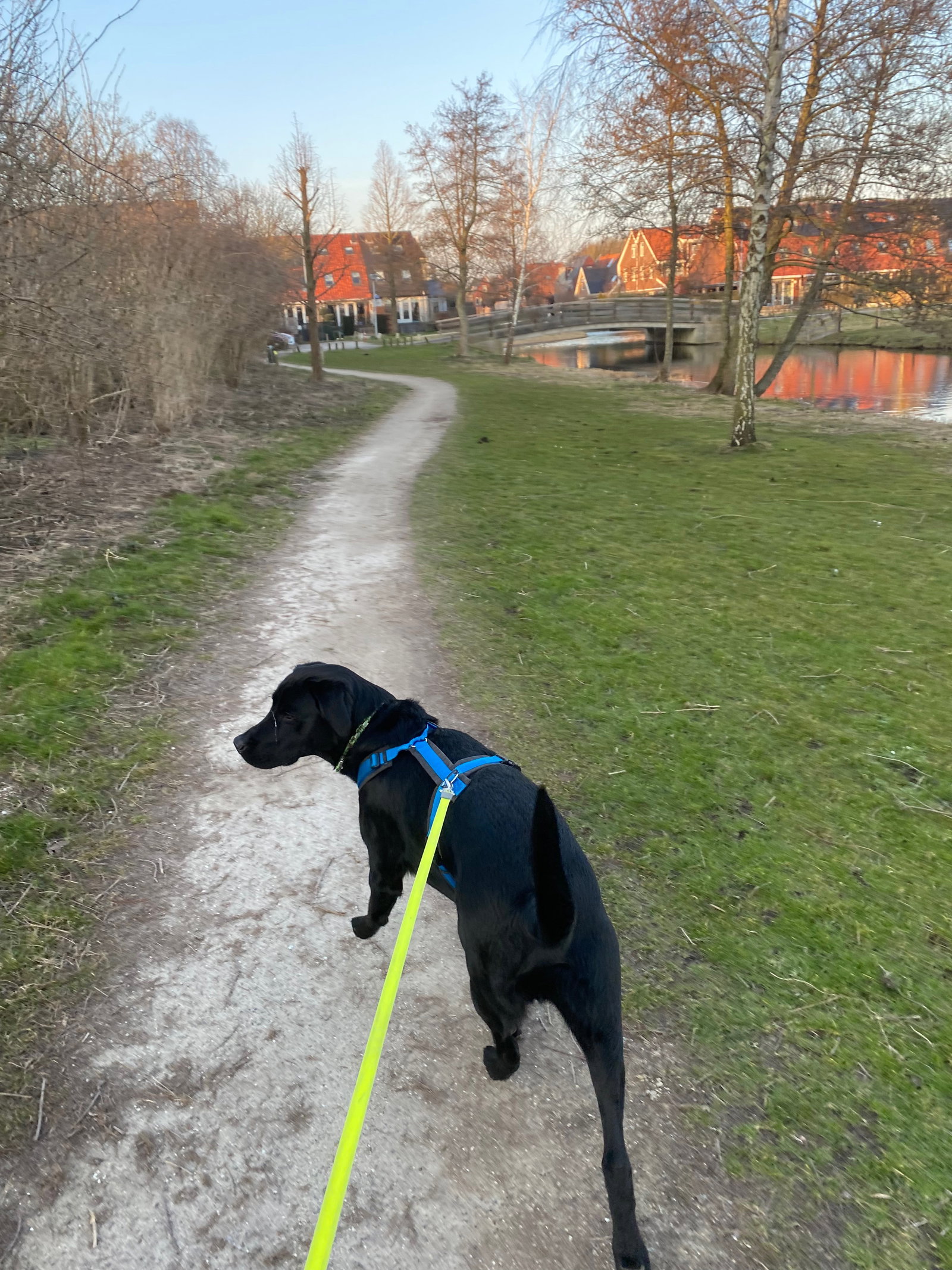 Daphne, pet sitter in Heemskerk, photo 1