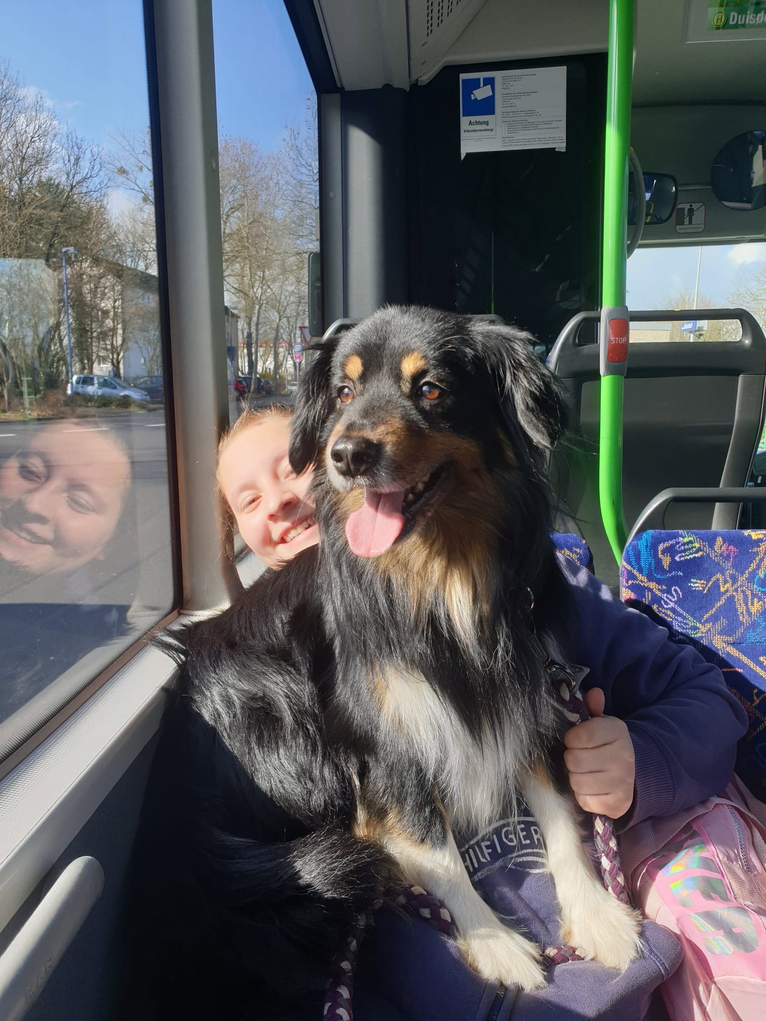 Michelle, pet sitter in Bonn, photo 2