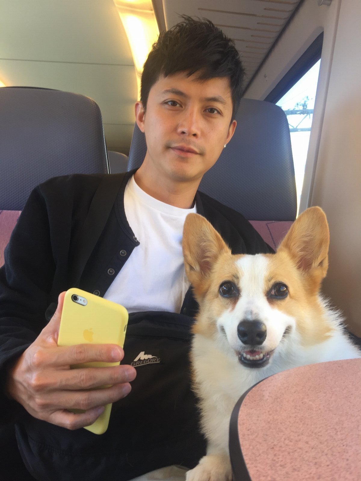 Kevin, dierenoppas in Amsterdam, foto 1
