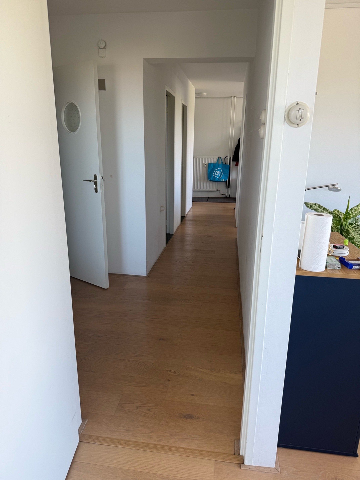 Lazaros, pet sitter in Den Haag, photo 1