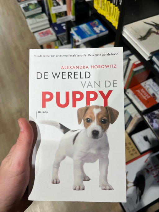 Nick en Nina, dierenoppas in Haarlem, foto 1