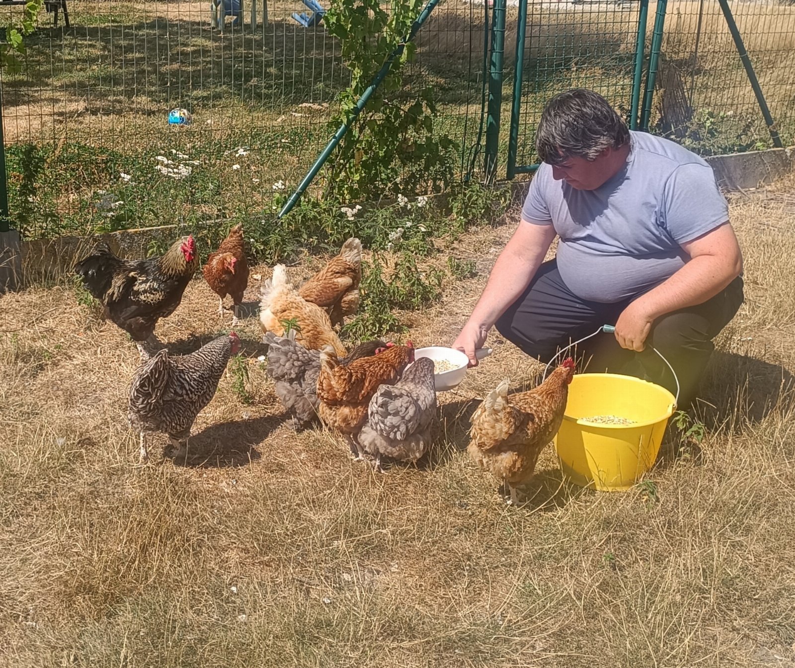 Bram, pet-sitter à Alveringem, photo 2