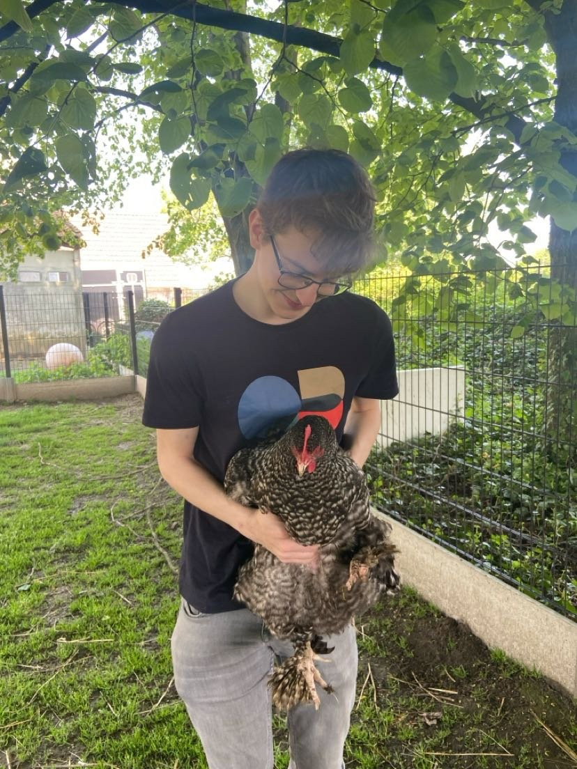 Sander, pet-sitter à Geraardsbergen, photo 5