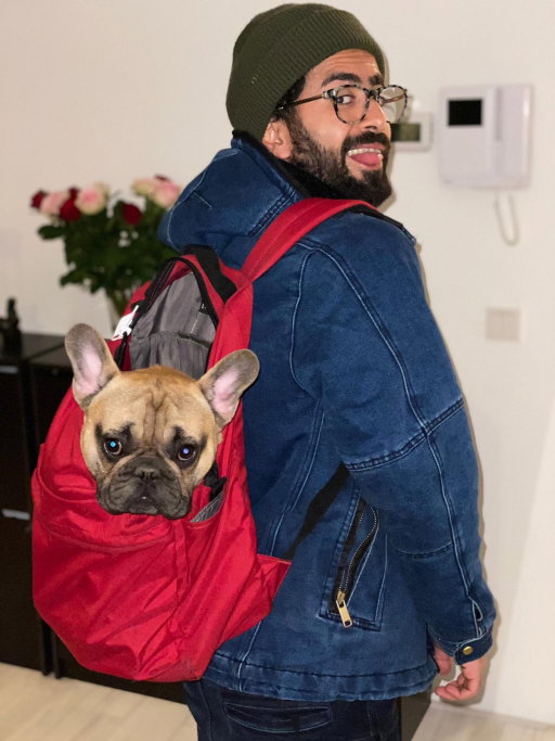 Ayman, pet sitter in Amsterdam, photo 1