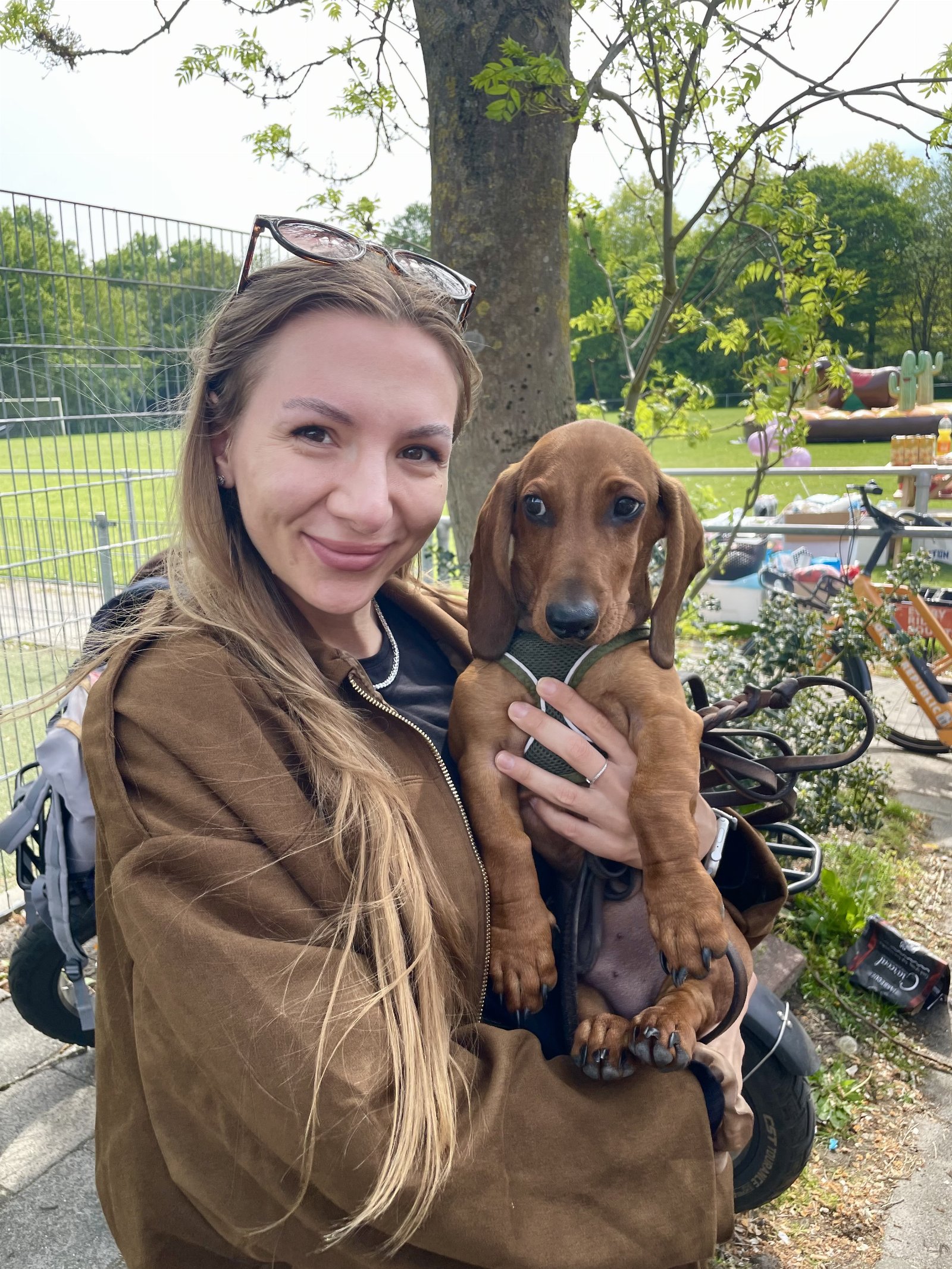 Viviana, pet sitter in Diemen, photo 1