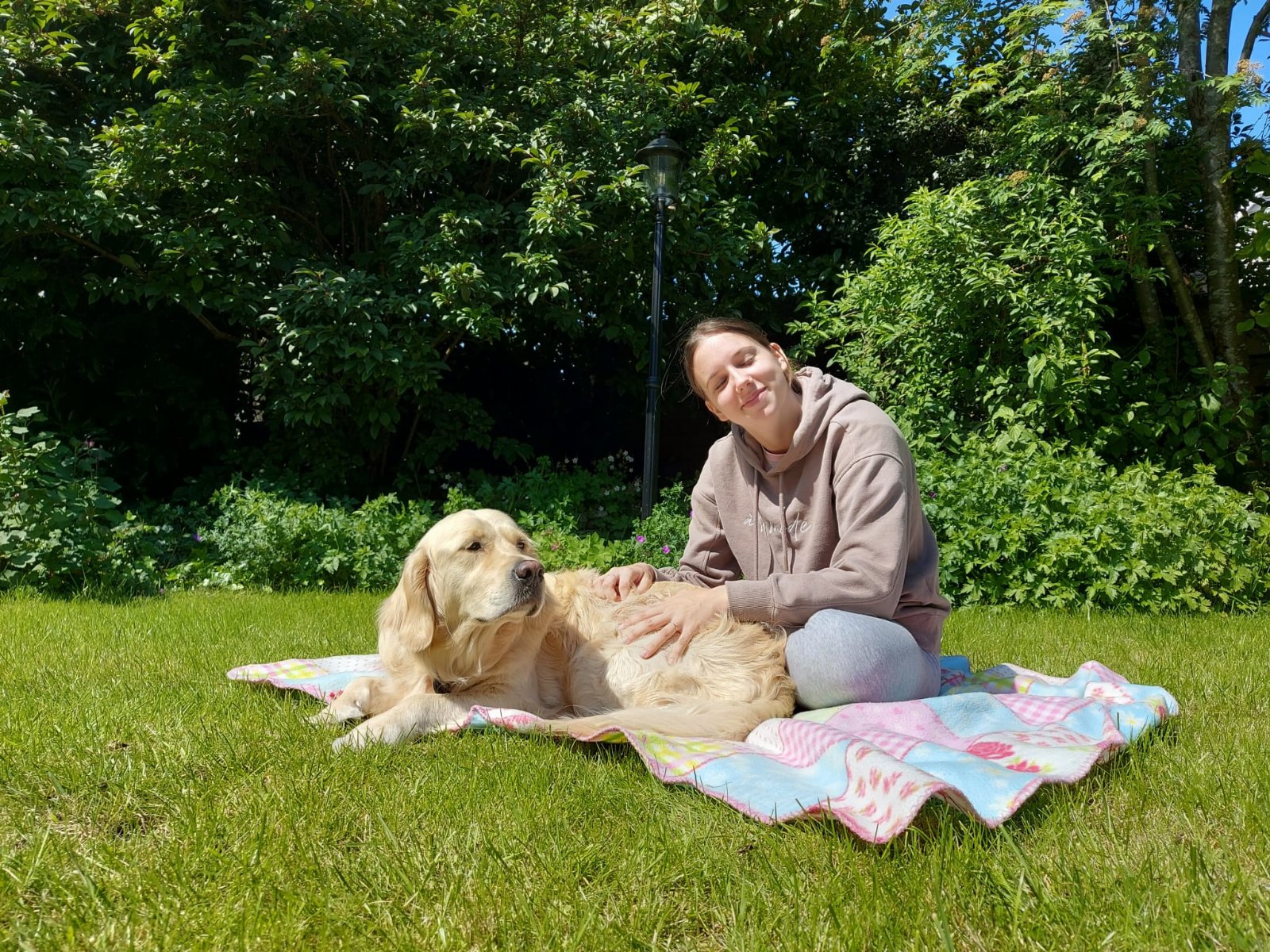 Chardonnay, dierenoppas in Hoofddorp, foto 4