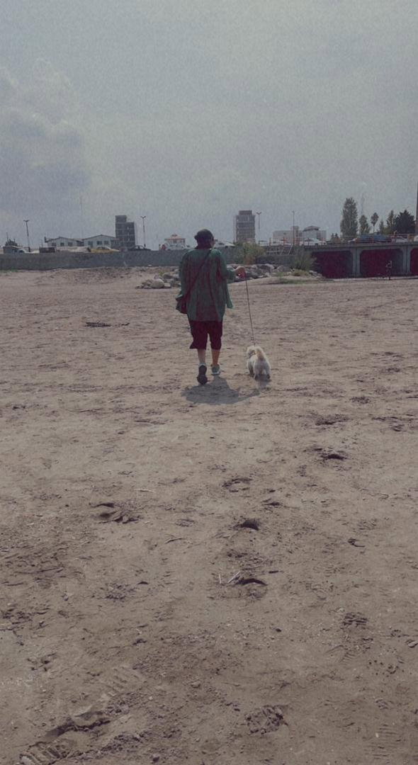 Qazal, Tiersitter in Potsdam, Foto 2