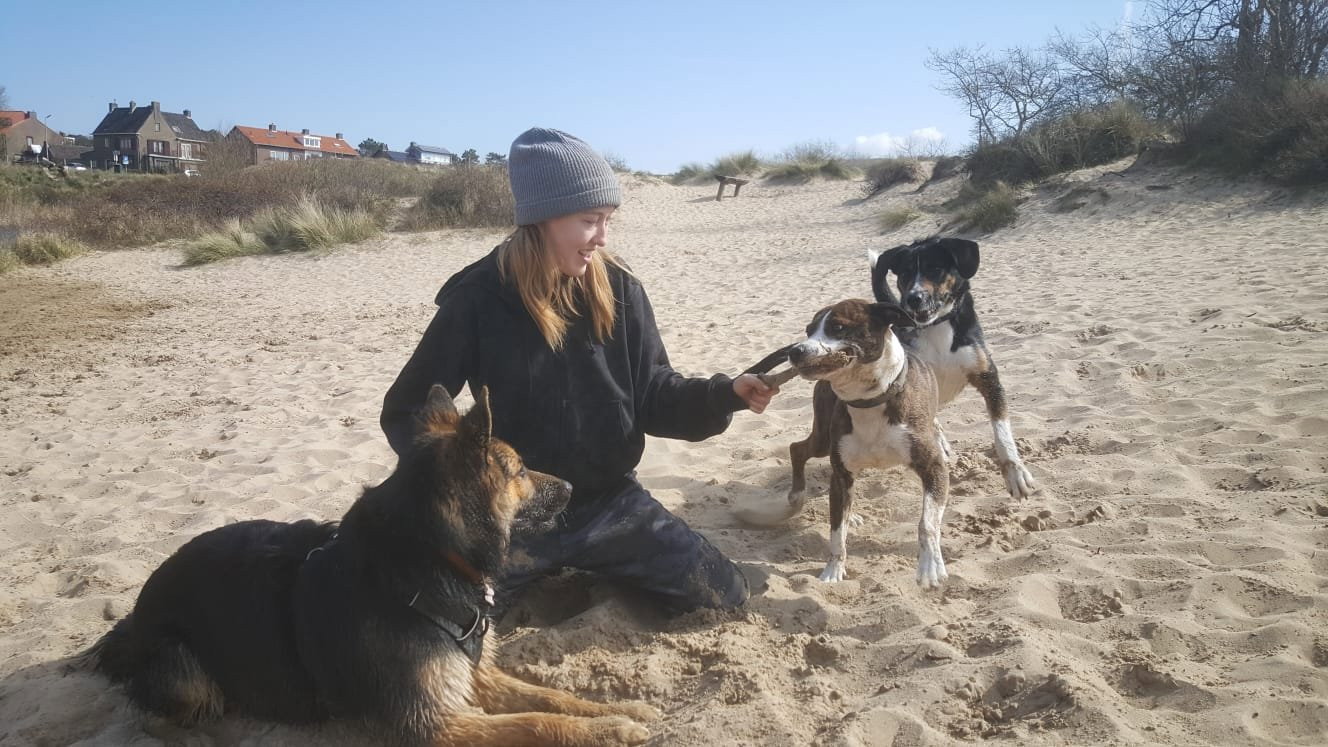 Marieke, pet sitter in Zandvoort, photo 2